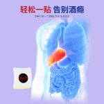 Liver Plaster Factory - Hangover Addiction Stomach Care