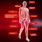 Joint Pain Cream Manufacturer - Long-Term Relief Bone Penetrating