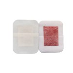 Detox Foot Patch Manufacturer - Customized New Popular Deep Cleansing