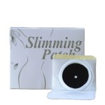 Slimming Patch Factory - Wholesale Colorful Best Selling Losing Weight