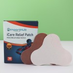 Back Pain Patches Factory - Long Lasting Natural Warming Herbal