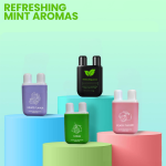 Nasal Inhaler Factory - Awakening Stick Double-hole Refreshing Mint