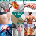 Pain Relief Patch Manufacturer - Best Selling 2023 Fast Acting Herbal