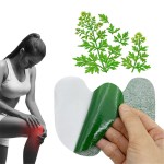 Knee Pain Patch Manufacturer - Hot Sales 2023 Kangcare OEM