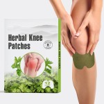 Knee Pain Patch Manufacturer - Health Care Chinese Herbal Joint Neck