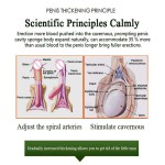 Penis Oil Factory - 10ml Erection Enhancement Thickening