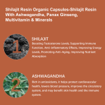 Shilajit Resin Supplier - 12000mg Immune Energy Tonic