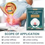 Lumbar Patch Manufacturer - Adult Herb Pain Relief Plaster