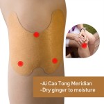 Knee Pain Patch Manufacturer - OEM Mugwort Ginger Joint Support