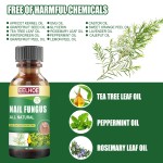 Toenail Solution Manufacturer - Tea Tree Fungus Sterilization