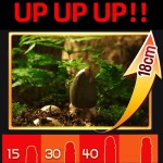 Erection Cream Manufacturer - Leech Essential Massage Products