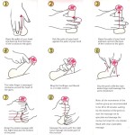 Enlargement Cream Manufacturer - 40ml Herbal Male Massage