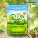 Barley Powder Factory - Nutrient Vitamin Antioxidant Rich