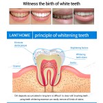 Teeth Whitening Pen Factory - Instant Stain Removal Gel