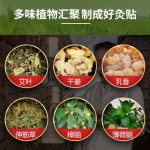 Moxibustion Patch Factory - Nanjing Tongrentang Lumbar