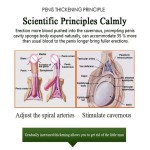 Enlargement Oil Manufacturer - 10ml Erection Enhancement Growth