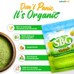 Barley Powder Factory - Nutrient Vitamin Antioxidant Rich