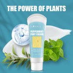 Foot Cream Factory - Private Label Peppermint Quick Absorption