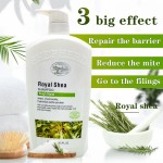 Royal Shea Shampoo Supplier - Oil Control Dandruff Itching Relief