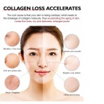 Face Cream Manufacturer - Private Label Vitamin E Hyaluronic Acid