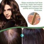 Hair Growth Essence Factory - OEM Wholesale Nourish Scalp 30ml