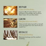 Anti-Dandruff Shampoo Factory - Shea Butter Jamaican Castor Oil