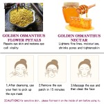 Eye Cream Factory - Private Label Caffeine Confident Puffiness