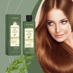 Shampoo Conditioner Manufacturer - Private Label 3 in 1 Rosemary