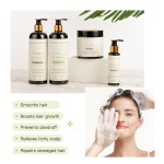 Hair Care Set Factory - Custom Low MOQ Organic Shampoo Conditioner