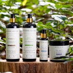 Hair Care Set Factory - Custom Low MOQ Organic Shampoo Conditioner