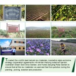 Shower Oil Factory - Almond Bath Oil Softness