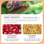 Beauty Serum Manufacturer - OEM Snail Carrots Oranges Anti Aging