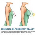 Breast Enhancement Oil Manufacturer - Wholesale Plumping Chest Shape
