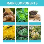 Anti Smoking Patch Factory - 30 Patches Chinese Herbal Cigarettes Stop