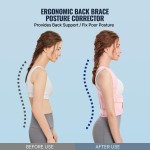 Posture Corrector Manufacturer - Lumbar Clavicle Therapy Support