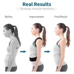 Back Support Belt Manufacturer - Factory Direct Adjustable