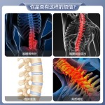Compression Brace Factory - Thoracic Lumbar Fracture Support