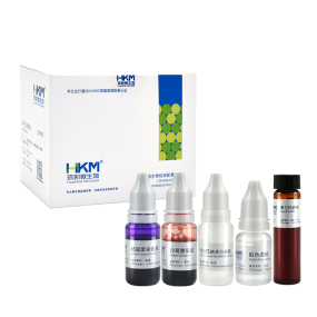 革兰氏染色试剂盒实验室染色细菌革兰氏染色实验