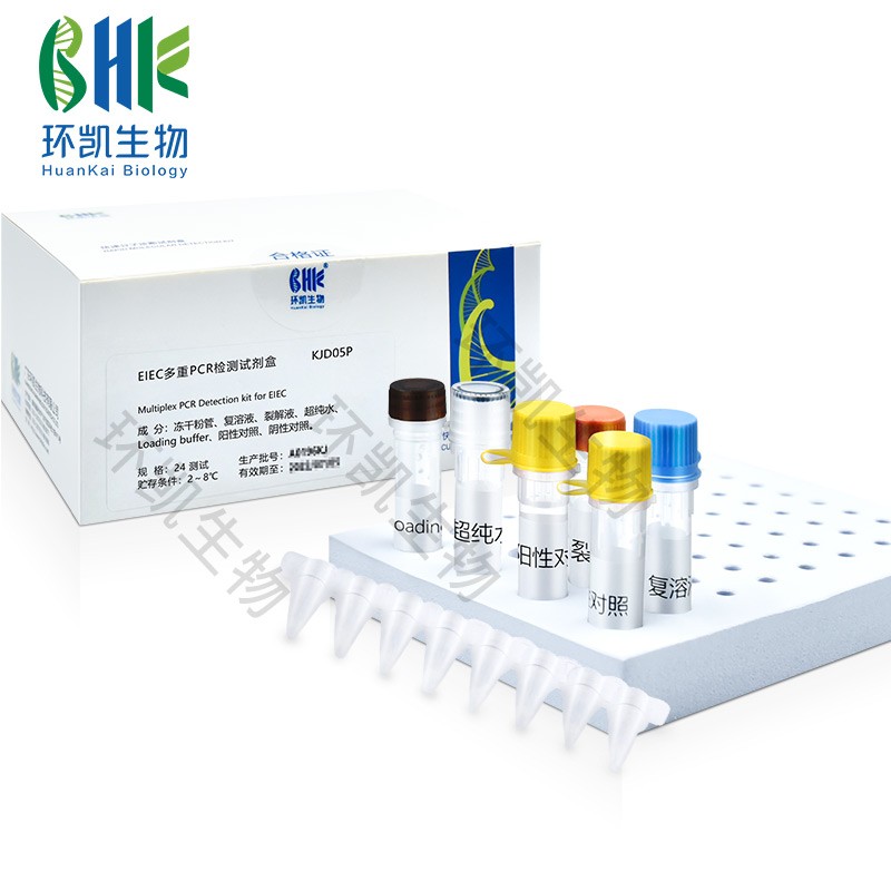 Qualitative Detection of Enteroinvasive E. Coli in Food Using EIEC Multiplex PCR Test Kit