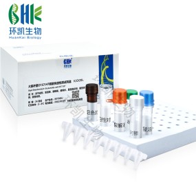 Yersinia Enterocolitis Rapid Test Kit Thermostatic Fluorescence Method