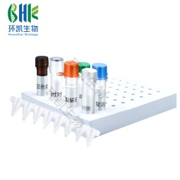 Rapid Detection Kit Vibrio Alginolyticus Rapid Test Kit Thermostatic Fluorescence Method
