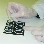 Salmonella Latex Identification Kit Diagnostic Reagent