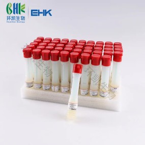 Collecting and Transportation Swab BPW Sampling Swabs with Buffered Peptone Water for Microbial Sampling