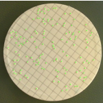 Automatic Colony Counter for Microorganism Counting, Lab Equipment