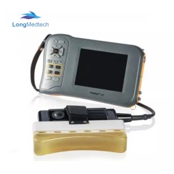 Vet Hematology Analyzer Factory - Dymind DH36 Animal Blood Test