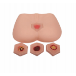 Veterinary Laser Manufacturer - High Quality Diode Animal Use