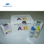 Vertical Autoclave Factory - Digital Display Automation Pressure