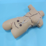 Anesthesia Machine Factory - Professional Surgery Clinic ICU