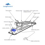 Human Manikin Manufacturer - 85cm Anatomical Body Torso Model