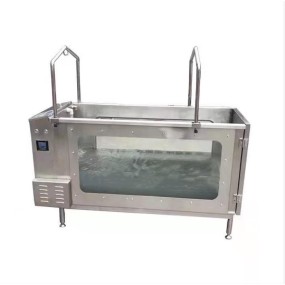 Pregnant Women Manikin Manufacturer - Electronic Maternity Examination